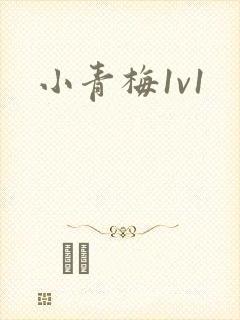 小青梅1v1
