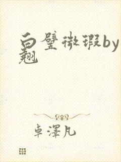 白璧微瑕by连翘