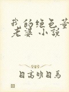 我的绝色董事长老婆 小说