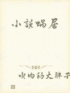 小说蜗居