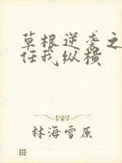 草根逆袭之都市任我纵横