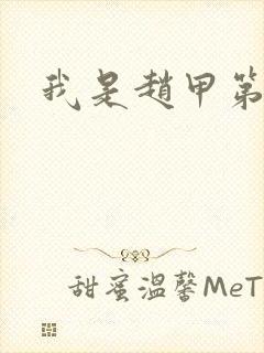 我是赵甲第小说