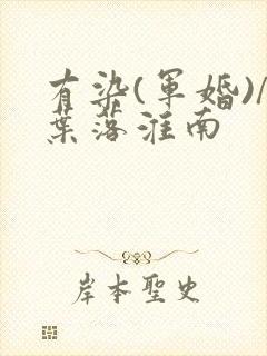 有染(军婚)/叶落淮南
