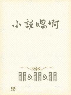 小说嗯啊