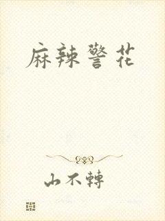 麻辣警花
