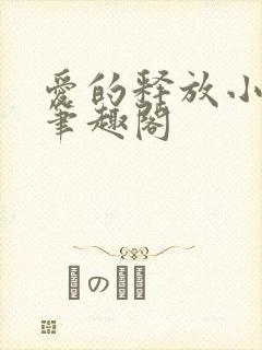 爱的释放小说 笔趣阁