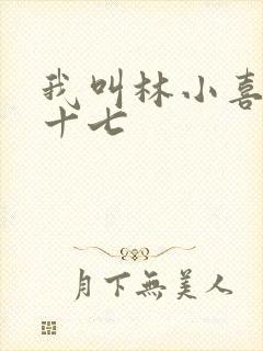 我叫林小喜今年十七