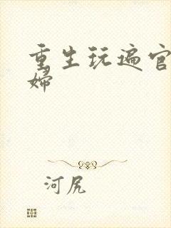 重生玩遍官场贵妇