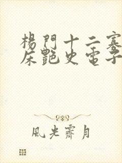 杨门十二寡妇肉床艳史电子书