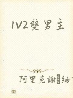 1V2双男主