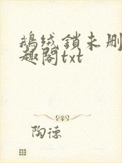 鹅绒锁未删除笔趣阁txt