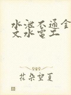 水泄不通金银原文水电工