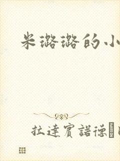 米璐璐的小说