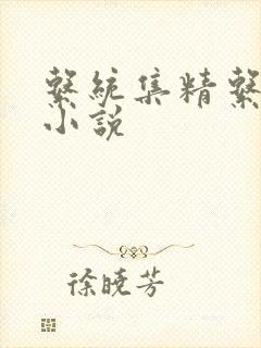 系统集精系统 小说