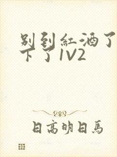 别到红酒了装不下了1V2