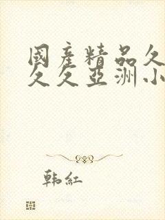 国产精品久久久久久亚洲小说