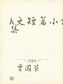 h文短篇小说合集