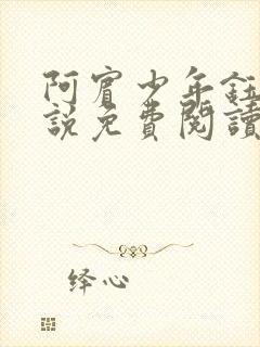 阿宾少年钰慧小说免费阅读笔趣阁