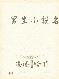 男生小说名字