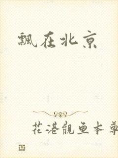 飘在北京