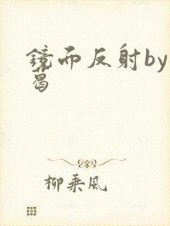 镜面反射by九葛