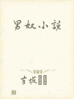 男奴小说