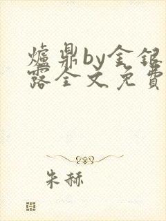 炉鼎by金银花露全文免费阅读笔趣阁