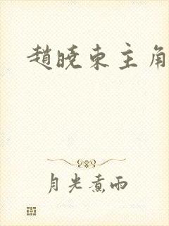 赵晓东主角小说