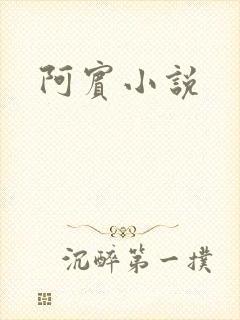 阿宾小说