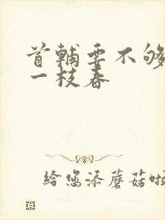 首辅要不够po一枝春