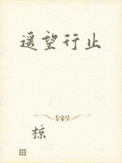遥望行止