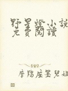 野星灯小说全文免费阅读