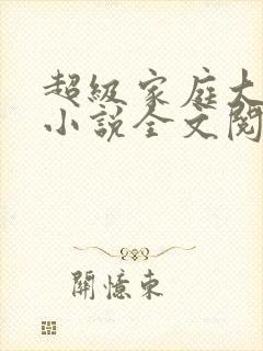 超级家庭大杂烩小说全文阅读