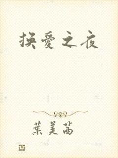 换爱之夜