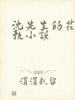 沈先生的花式调教小说