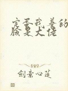 完蛋我养的小白脸是大佬