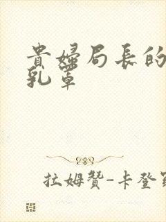 贵妇局长的蕾丝乳罩