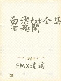 白洁txt全集笔趣阁