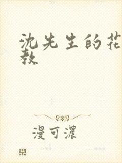 沈先生的花式管教