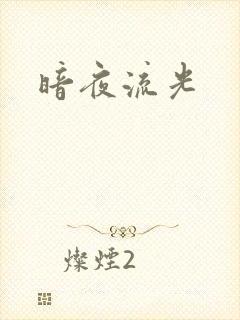 暗夜流光