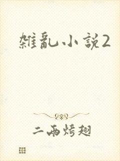杂乱小说2