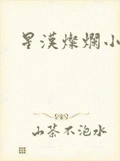 星汉灿烂小说