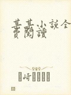 某某小说全文免费阅读