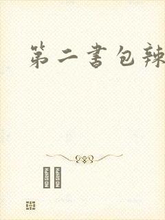 第二书包辣文