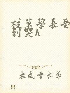 校草学长受被做到哭h