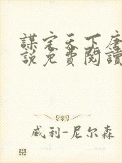 谋定天下唐诚小说免费阅读