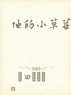 他的小草莓
