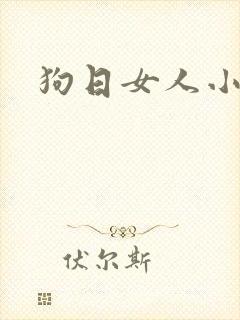 狗日女人小说
