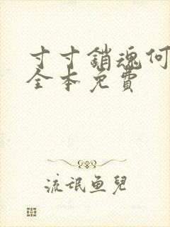 寸寸销魂何生祥全本免费