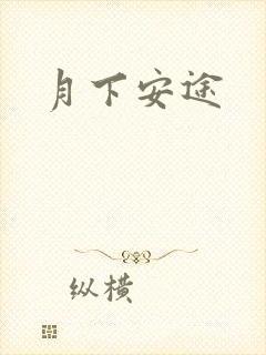 月下安途